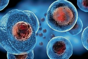 Stem-Cell-Lafayette-NJ